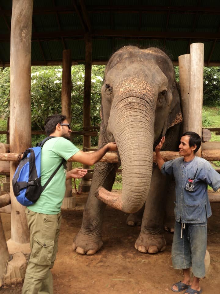 A visit to Thai Elephant Care Center in Chiang Mai | Wemusttravel
